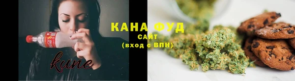 PSILOCYBIN Аркадак